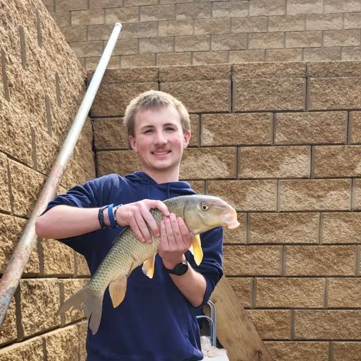 The most recent Silver redhorse catches on Fishbrain