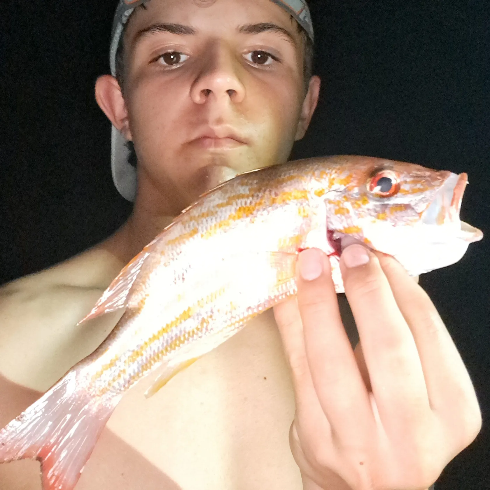 The most recent Lane snapper catches on Fishbrain