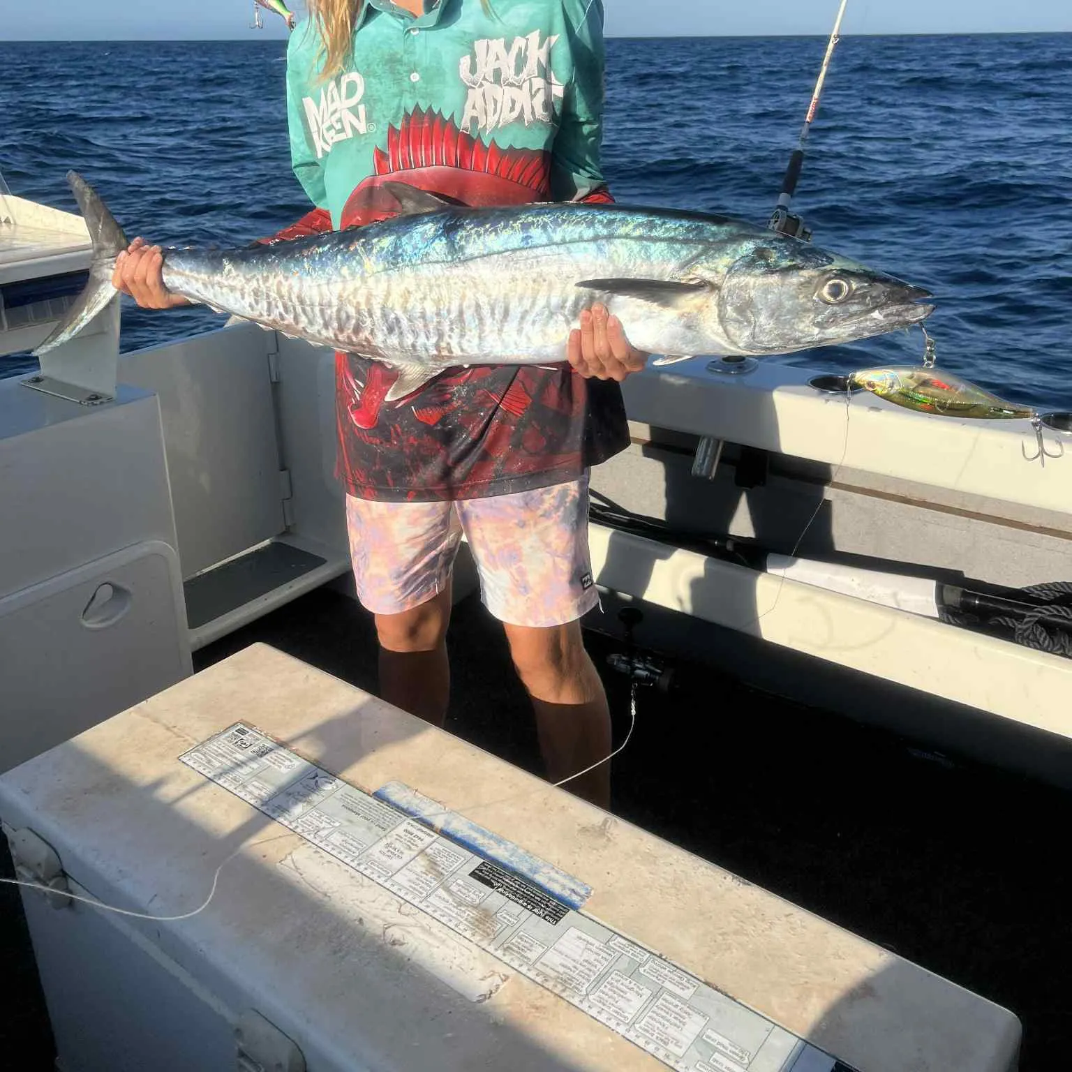 The most recent Narrow-barred Spanish mackerel catches on Fishbrain
