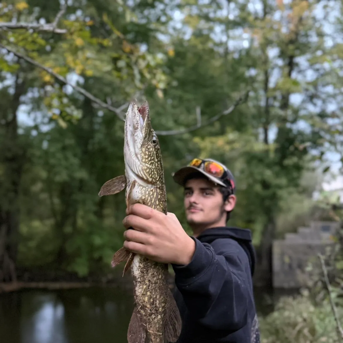 Northern pike caught on Fishbrain