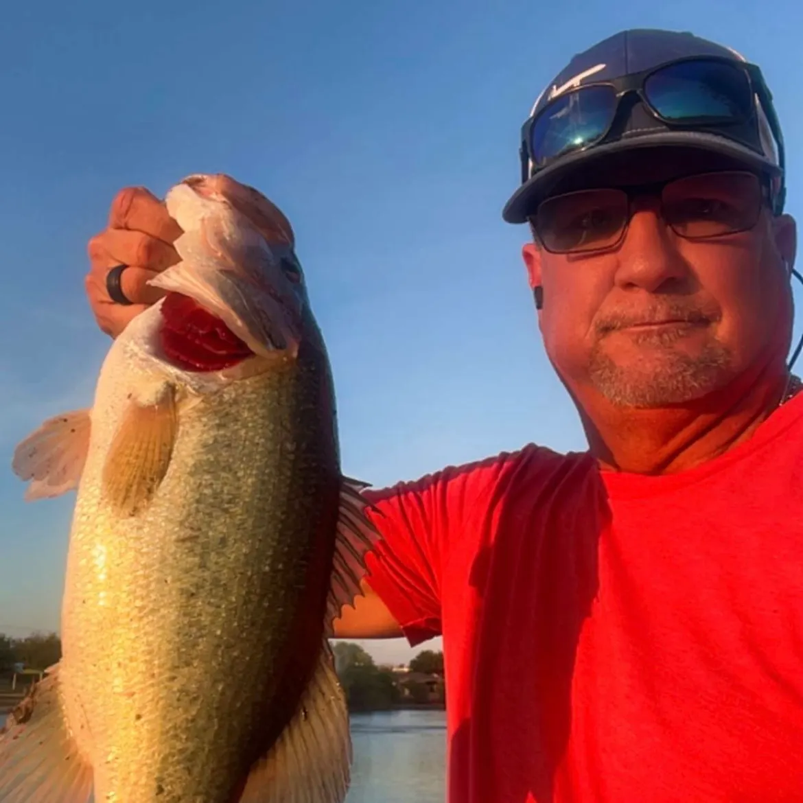 Largemouth bass caught on Fishbrain