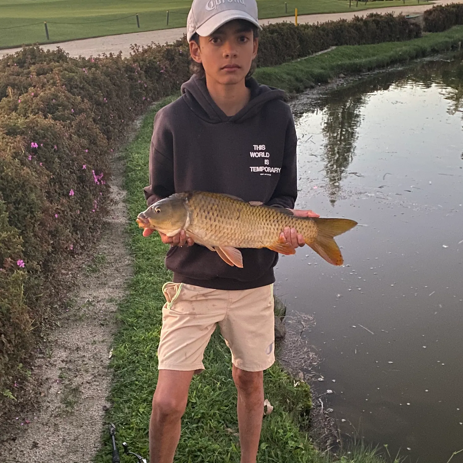The most recent Common carp catches on Fishbrain