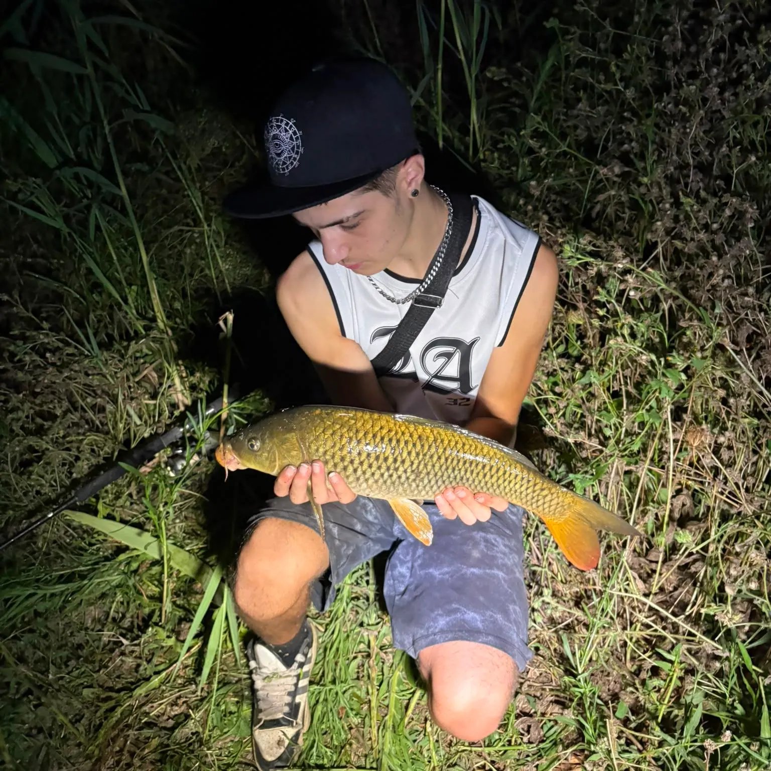 Common carp caught on Fishbrain