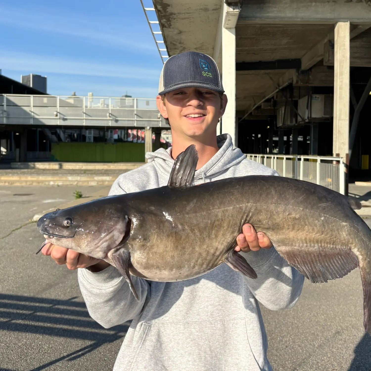 Channel catfish caught on Fishbrain