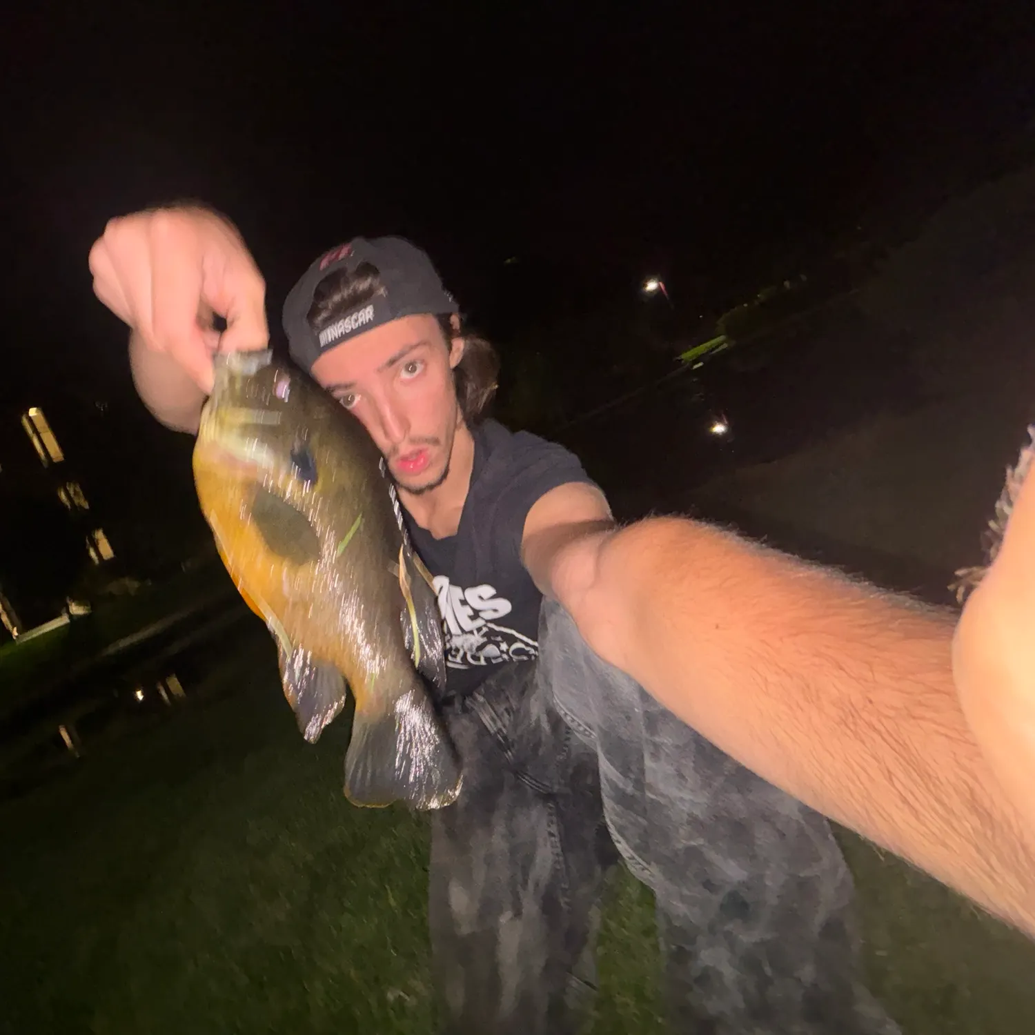 The most recent Bluegill catches on Fishbrain