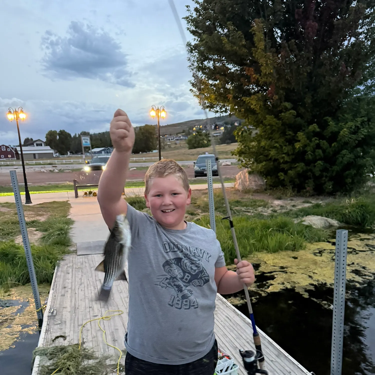 White bass caught on Fishbrain