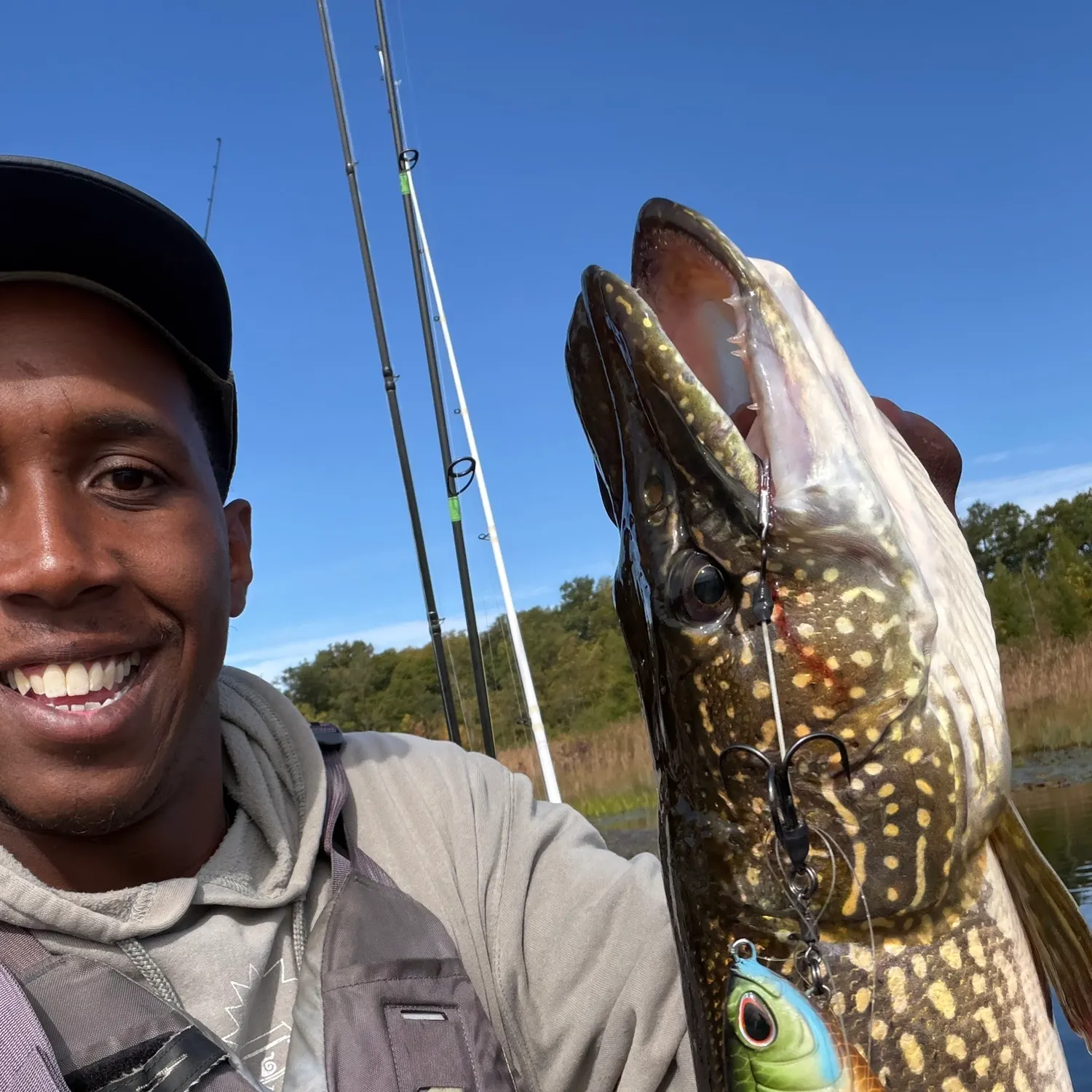 Northern pike caught on Fishbrain