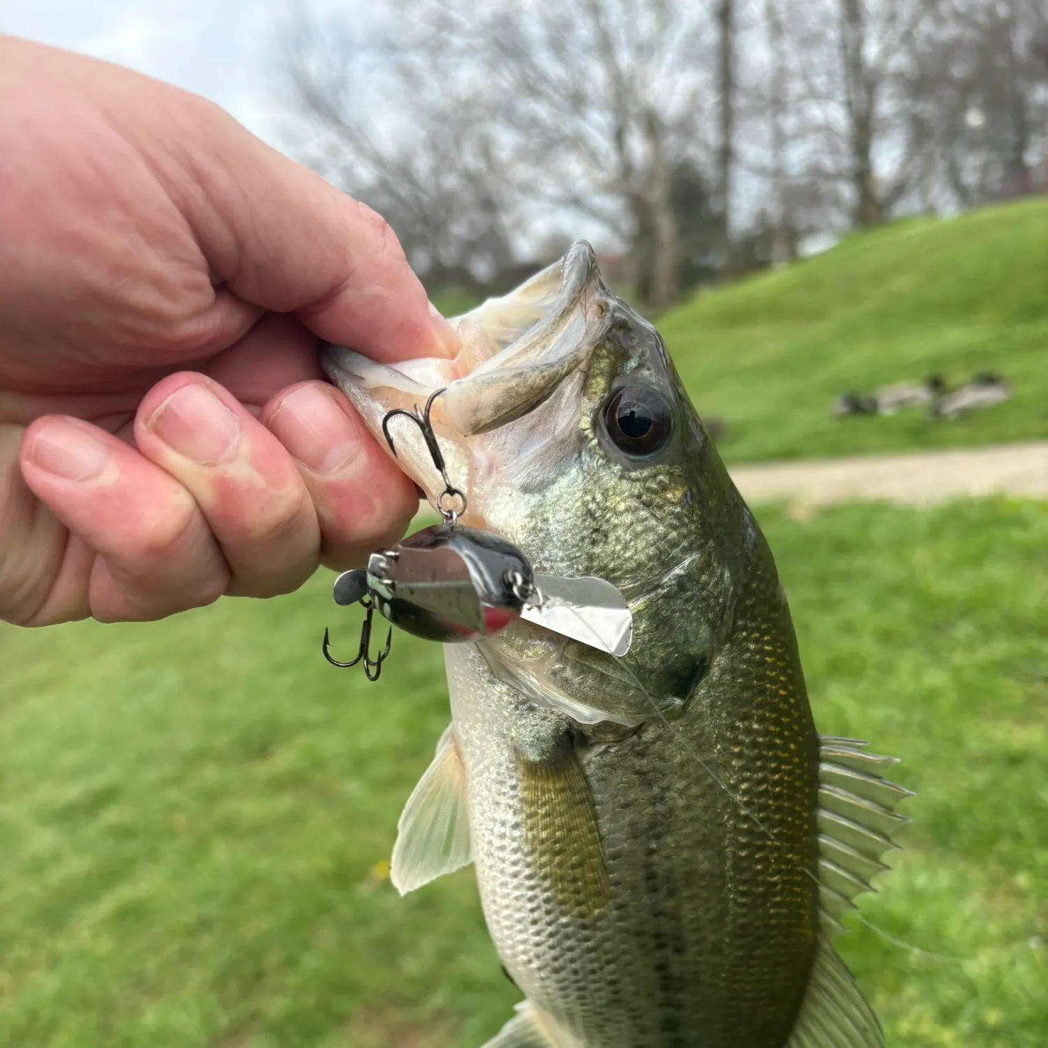 catch