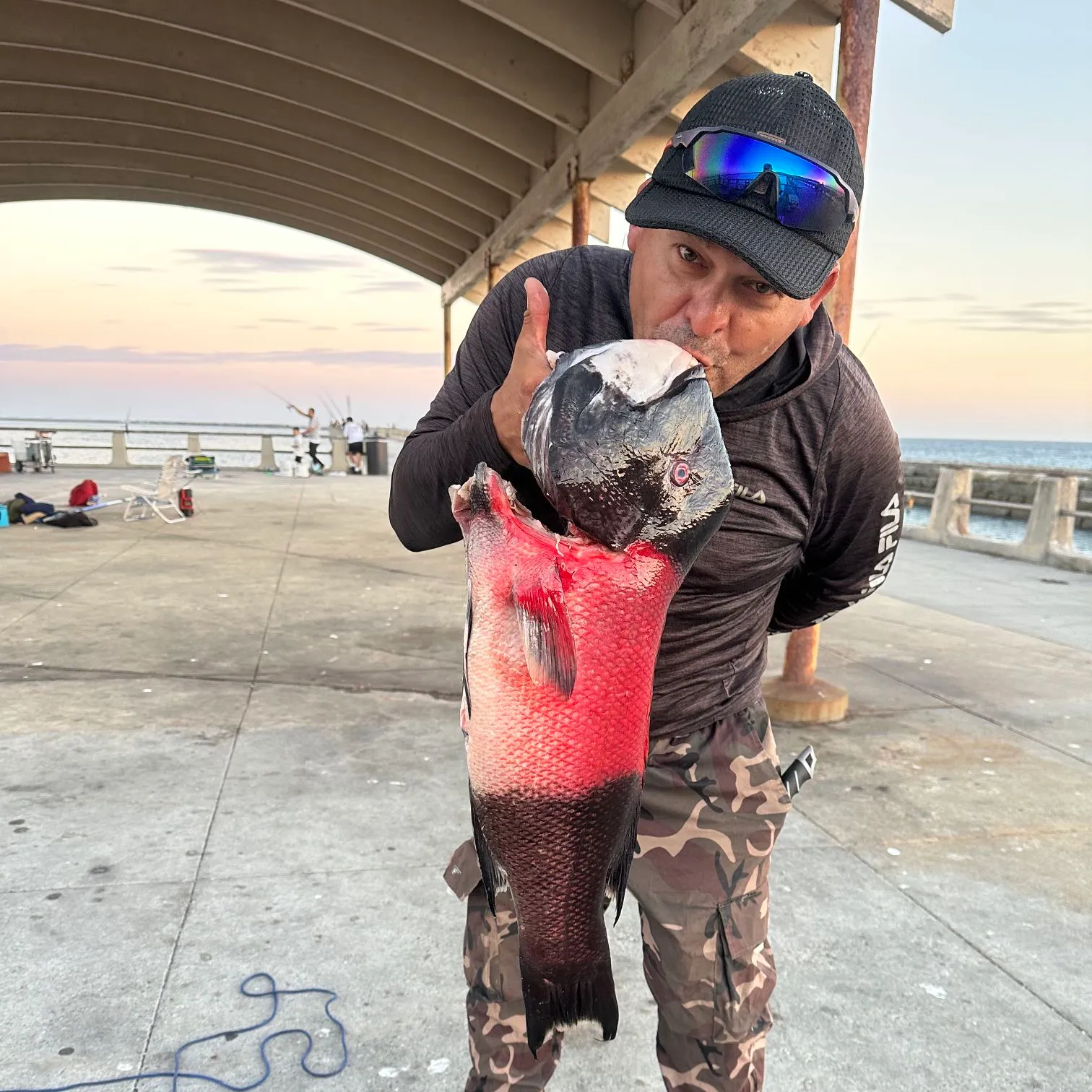 California sheephead caught on Fishbrain