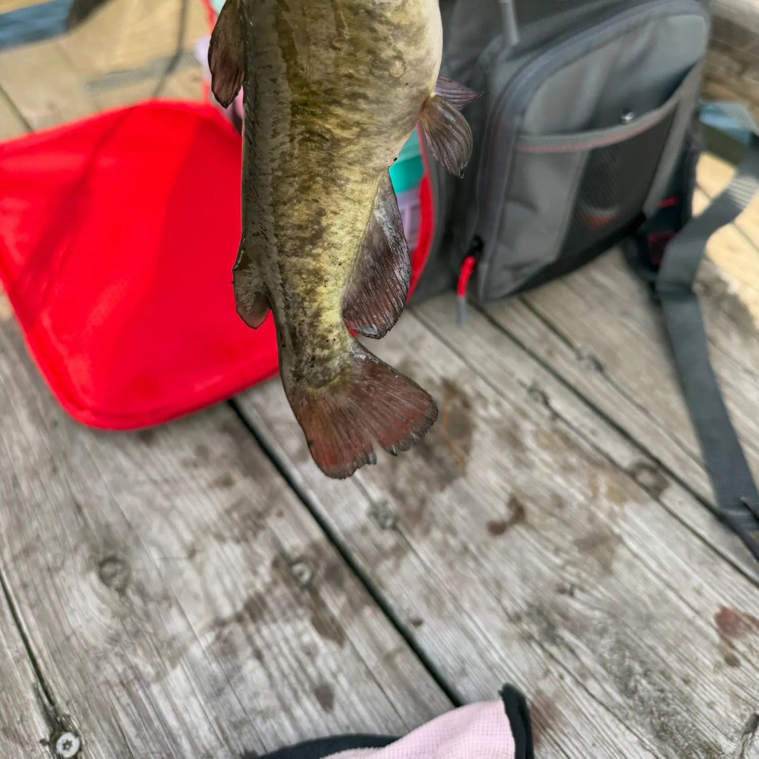 catch