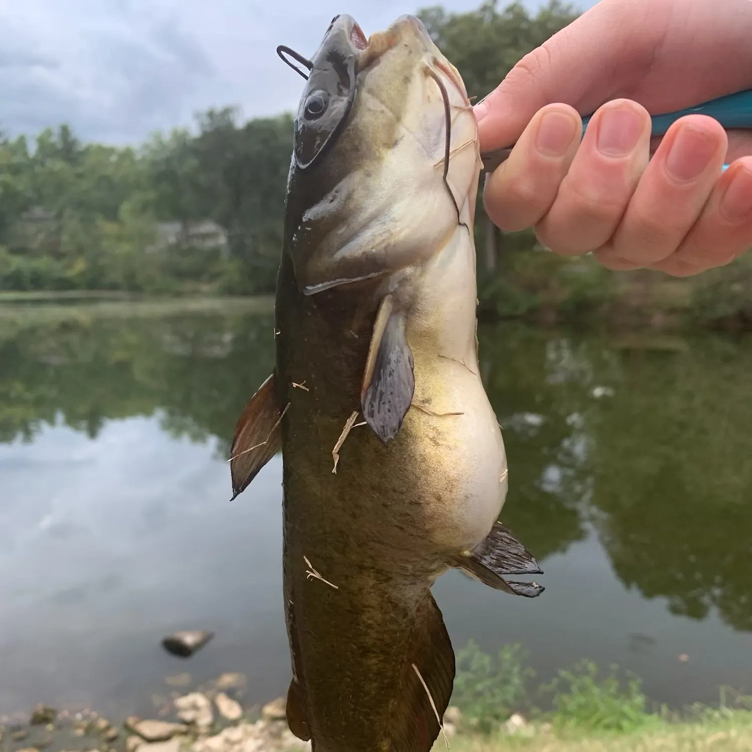 catch