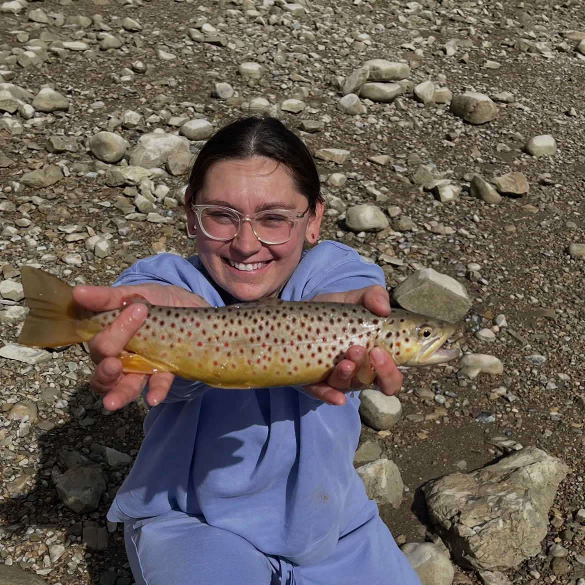 Brown trout caught on Fishbrain