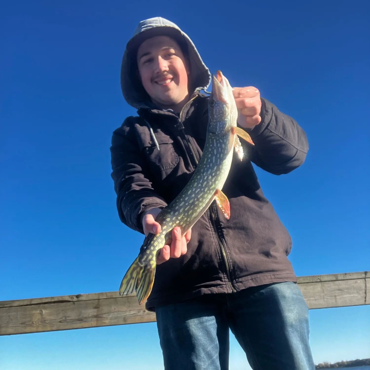 Northern pike caught on Fishbrain