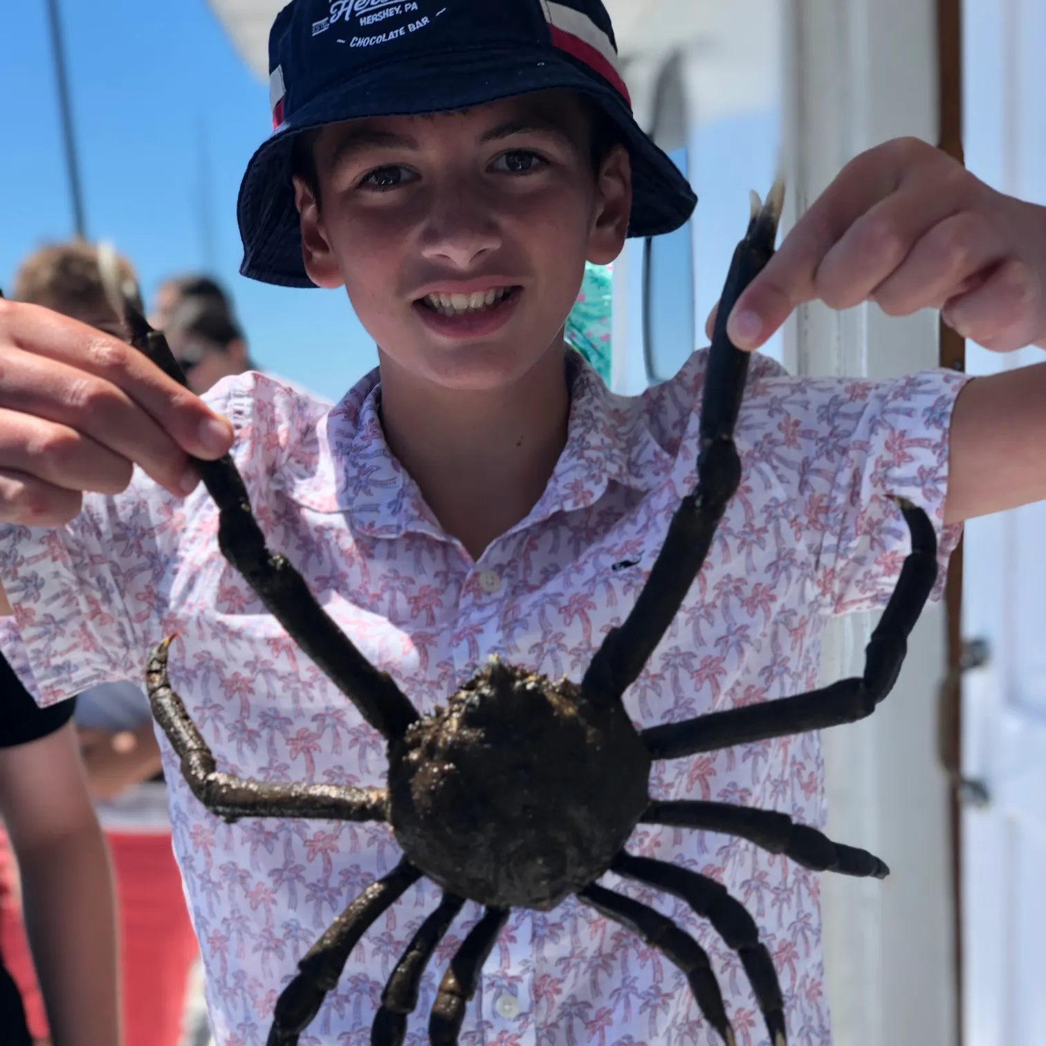 The most recent European spider crab catches on Fishbrain