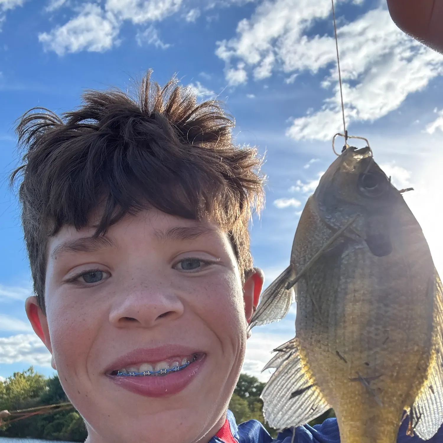 Bluegill caught on Fishbrain