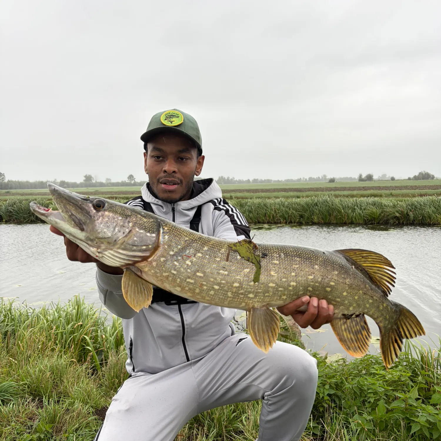 Northern pike caught on Fishbrain