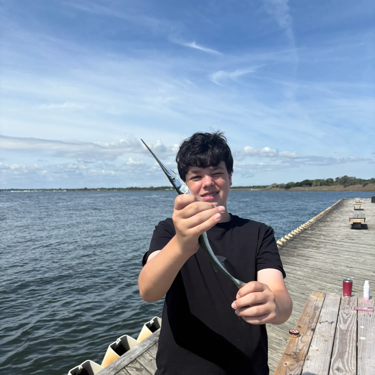 Atlantic needlefish caught on Fishbrain