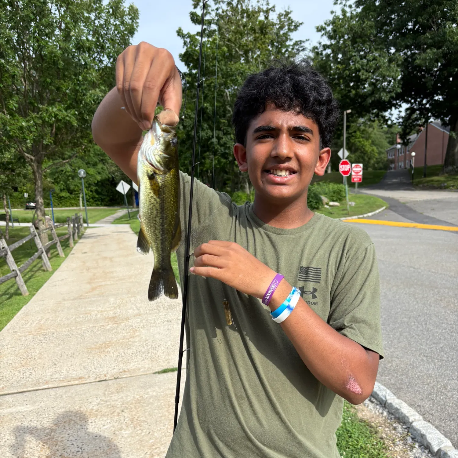 recently logged catches