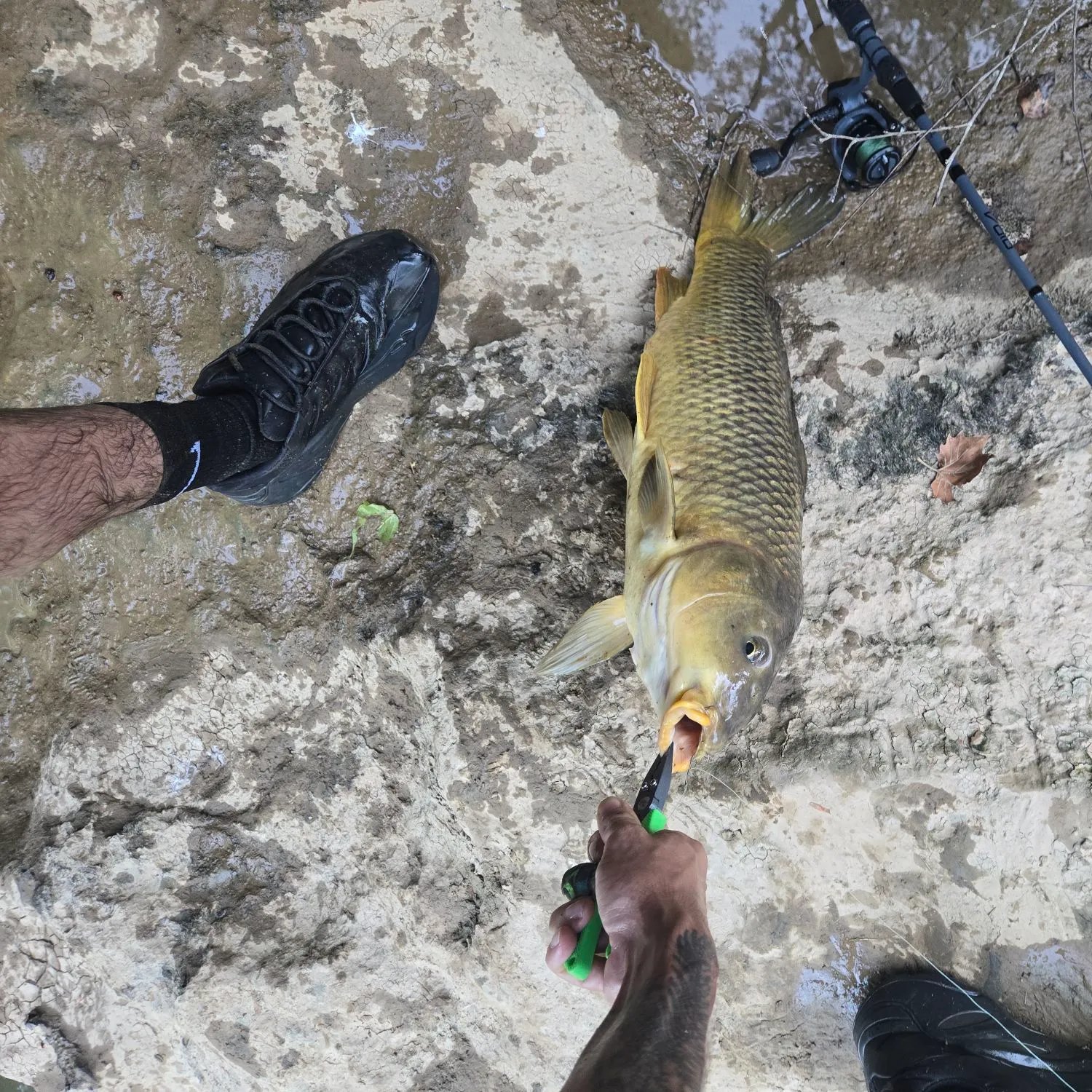 catch