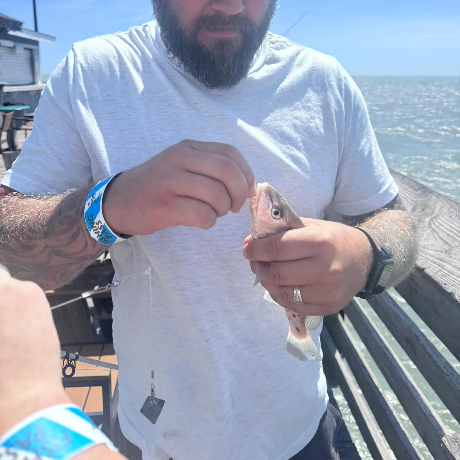 Atlantic croaker caught on Fishbrain