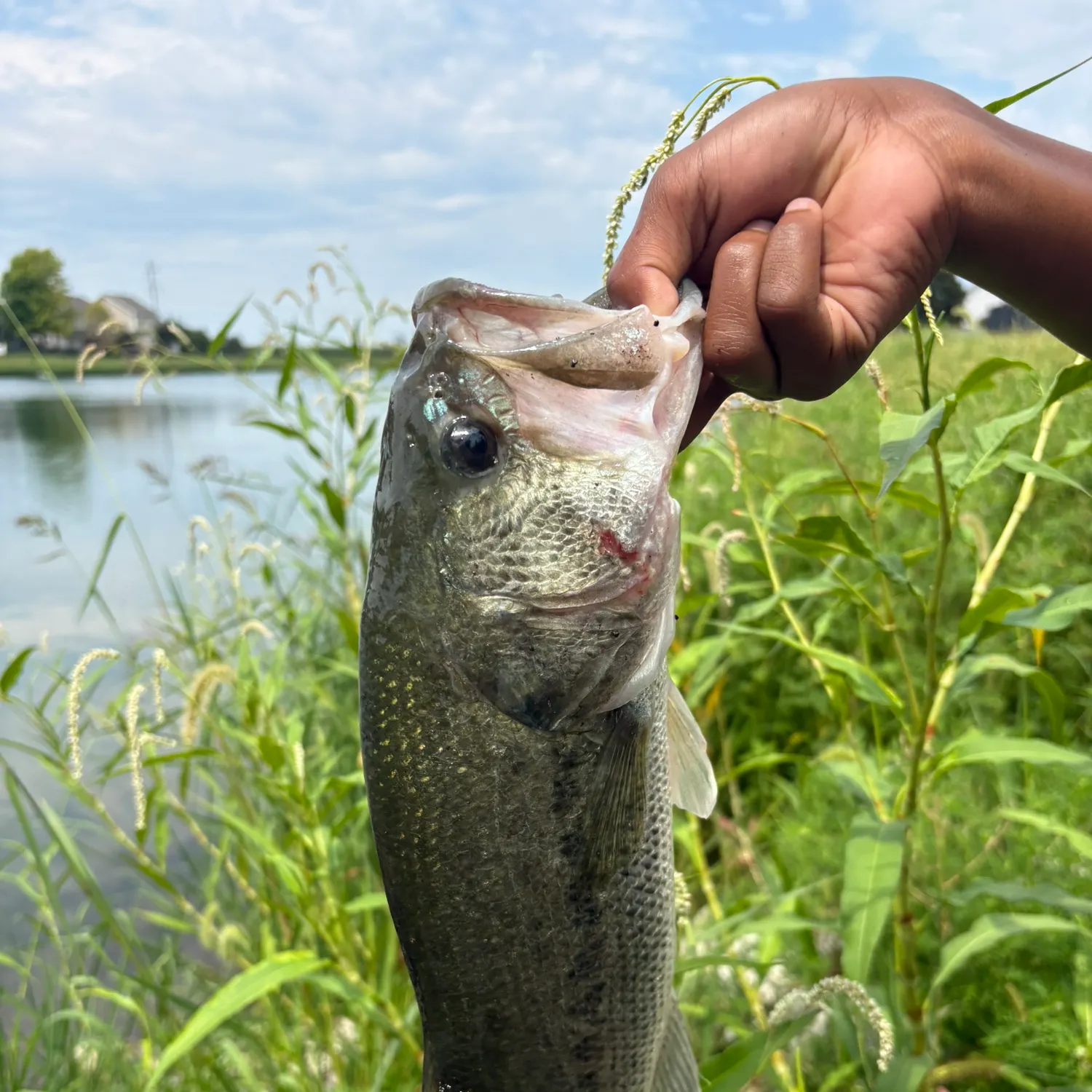 catch