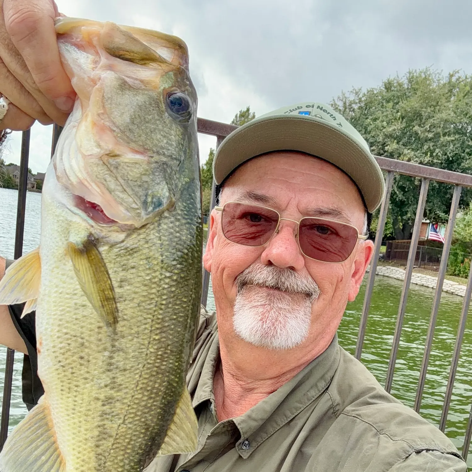 The most recent Largemouth bass catches on Fishbrain