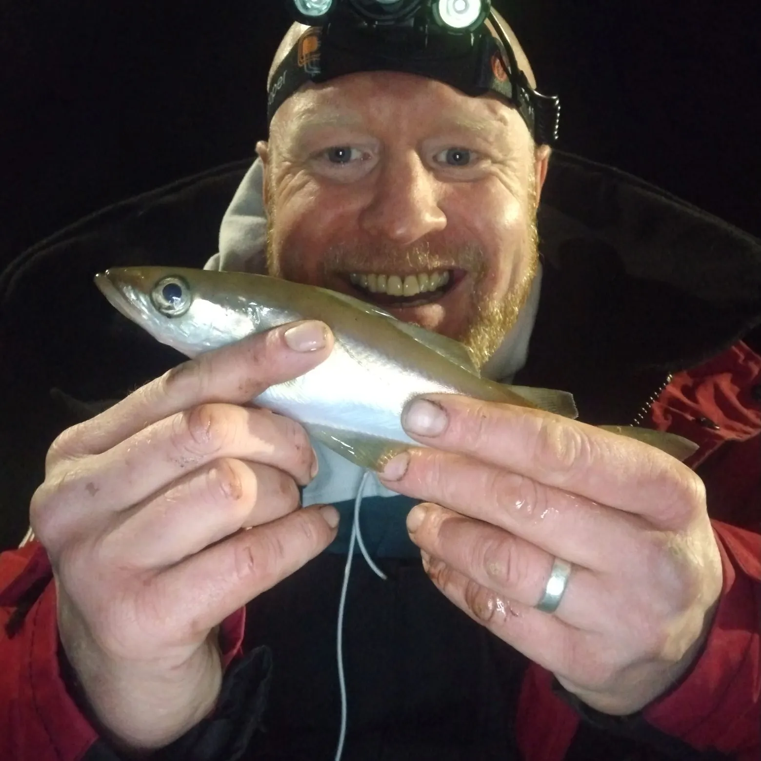 The most recent Pollack catches on Fishbrain