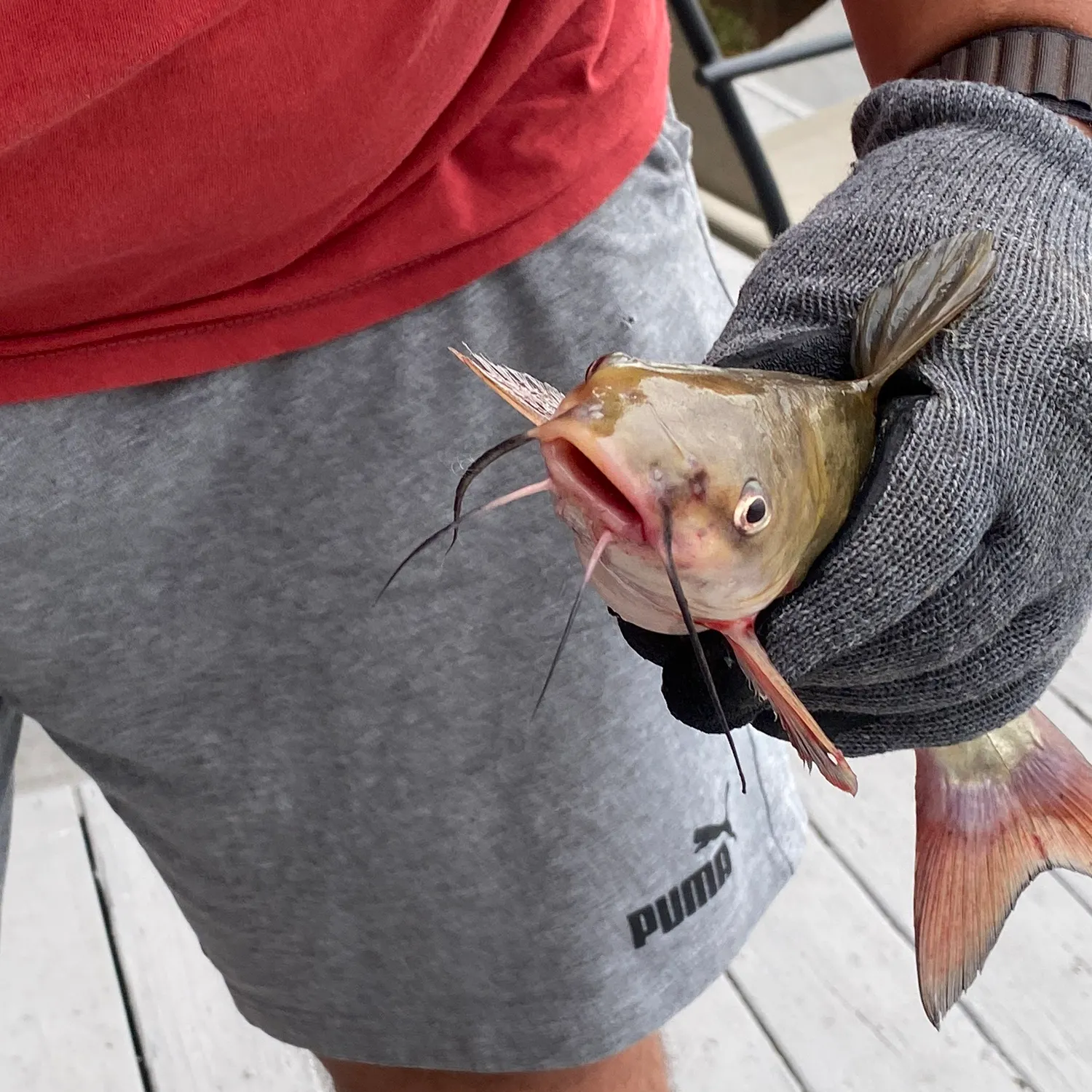 catch