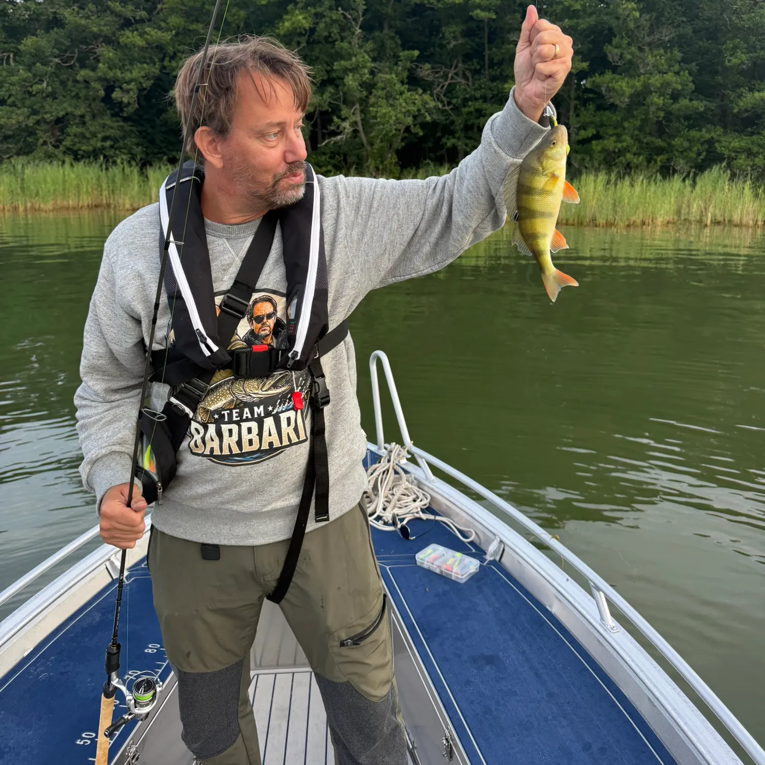 European perch caught on Fishbrain