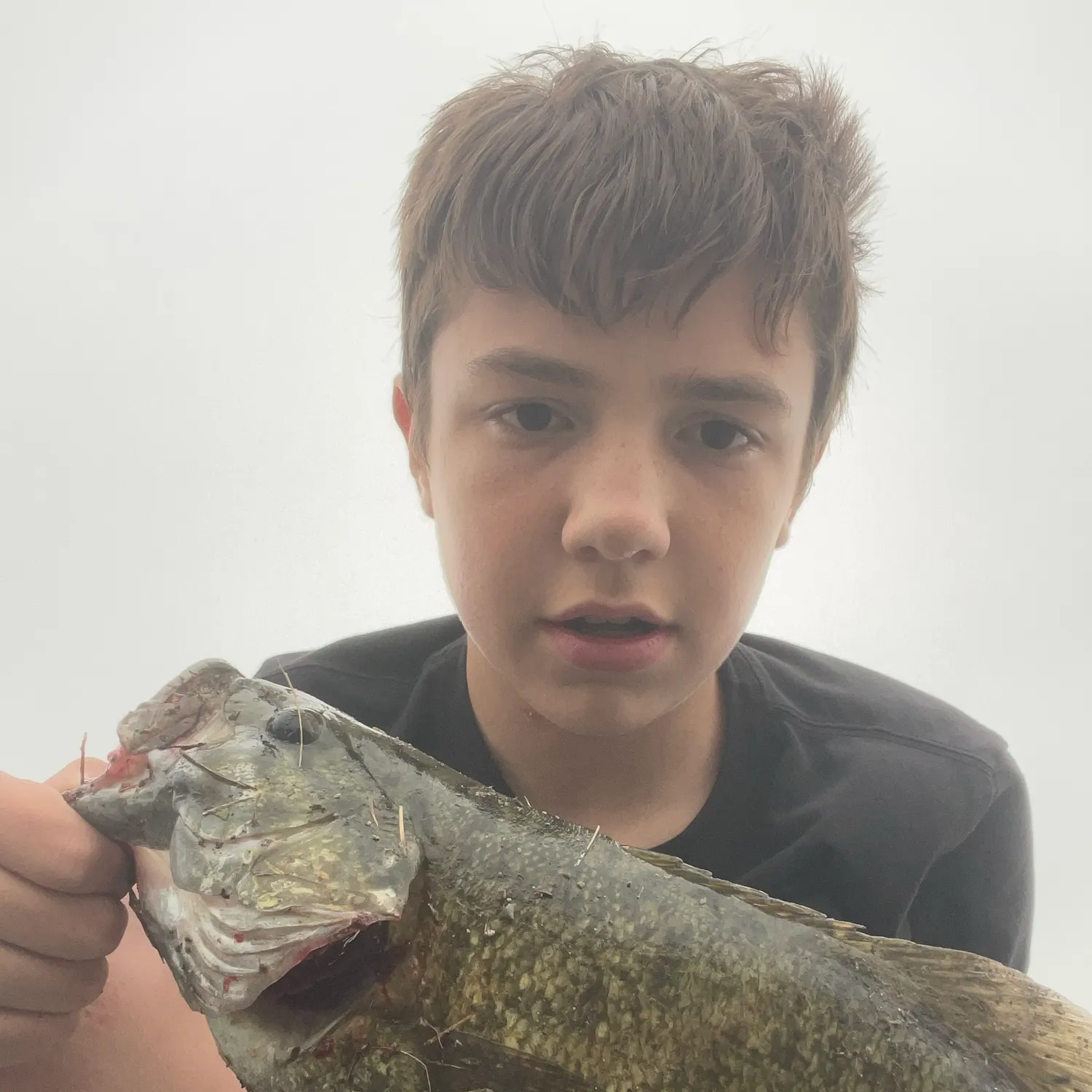Smallmouth bass caught on Fishbrain