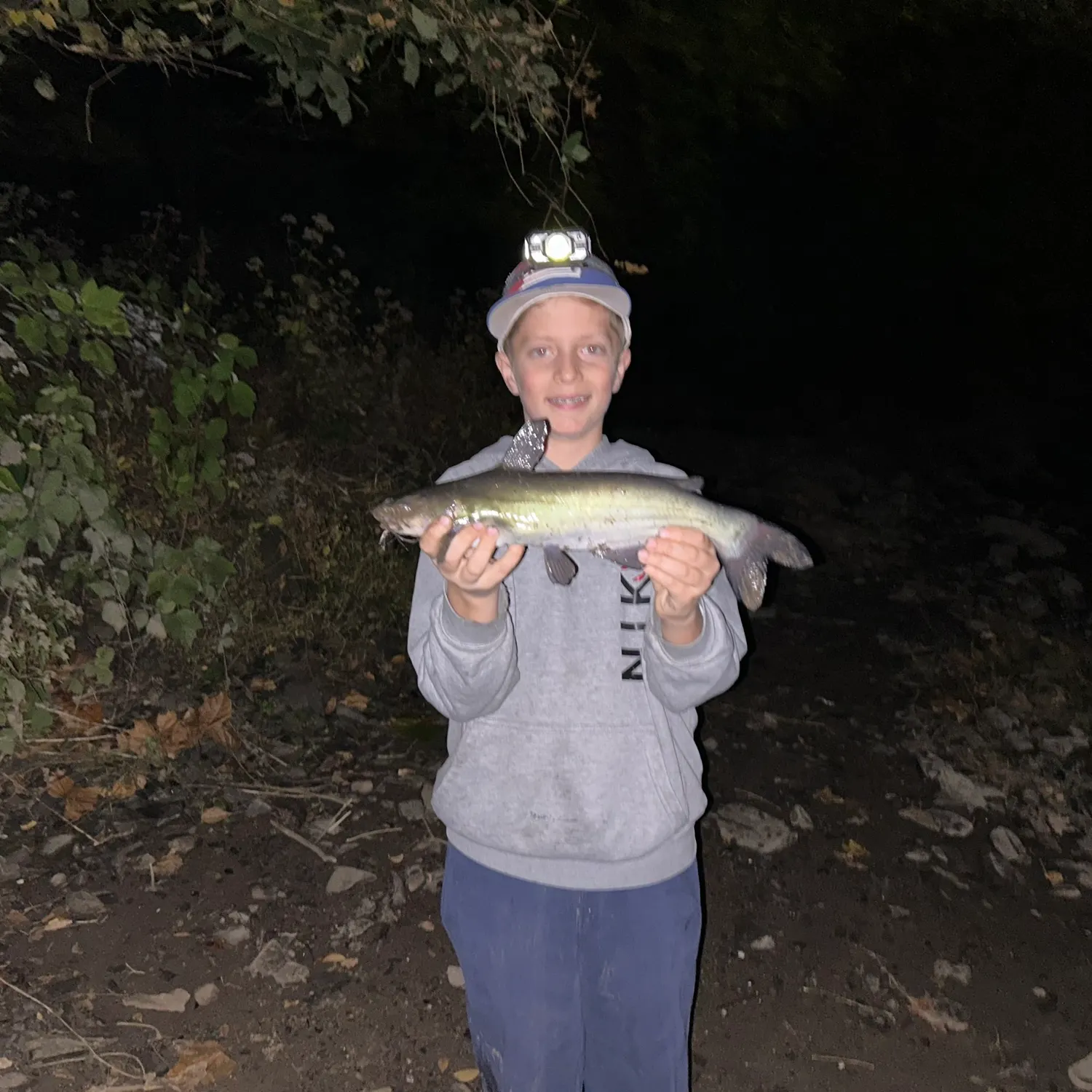Channel catfish caught on Fishbrain
