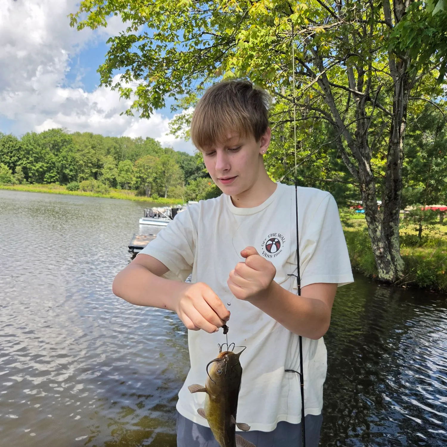 Black bullhead caught on Fishbrain
