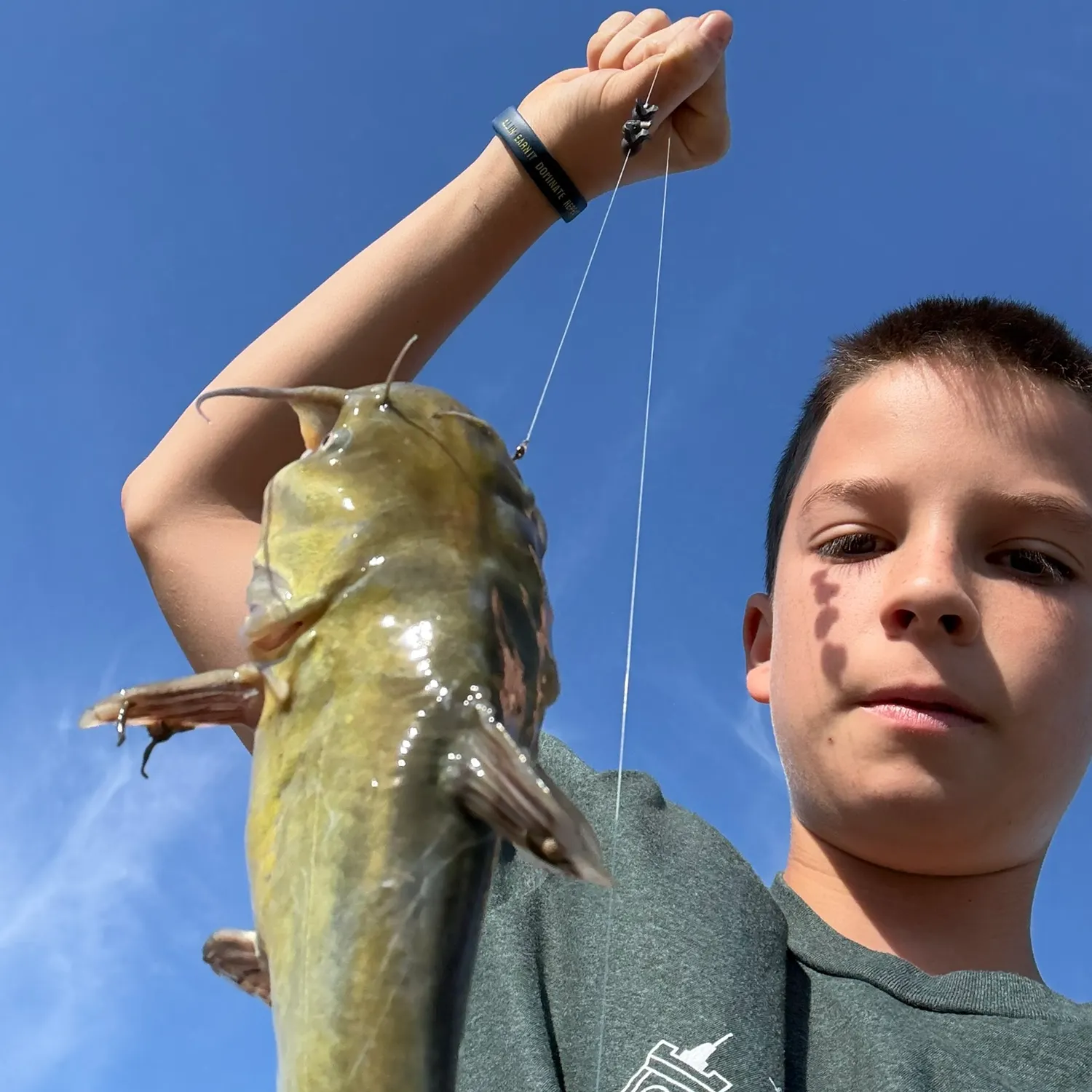 Yellow bullhead caught on Fishbrain