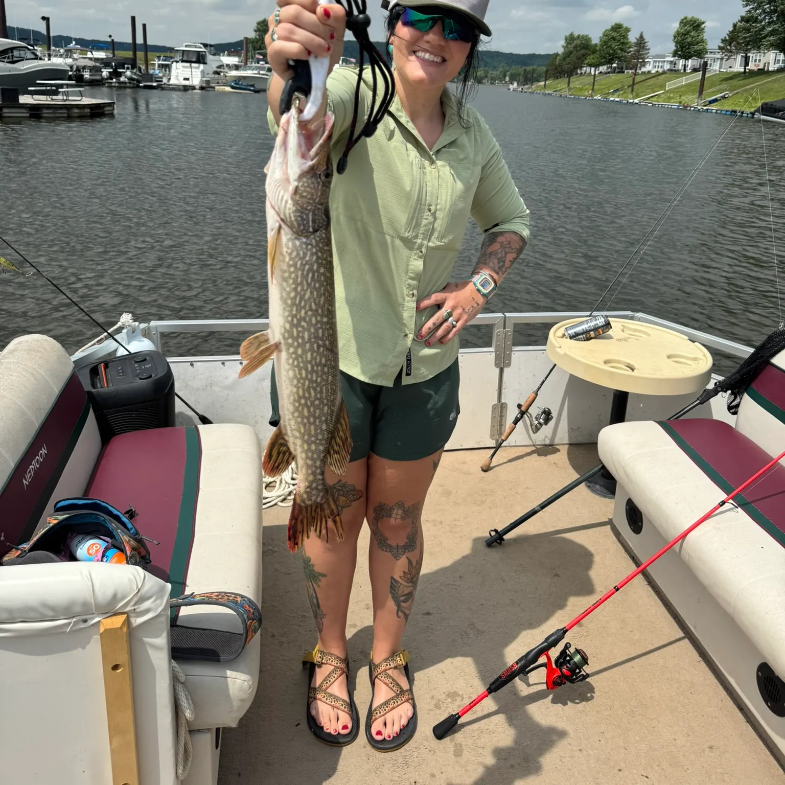 recently logged catches