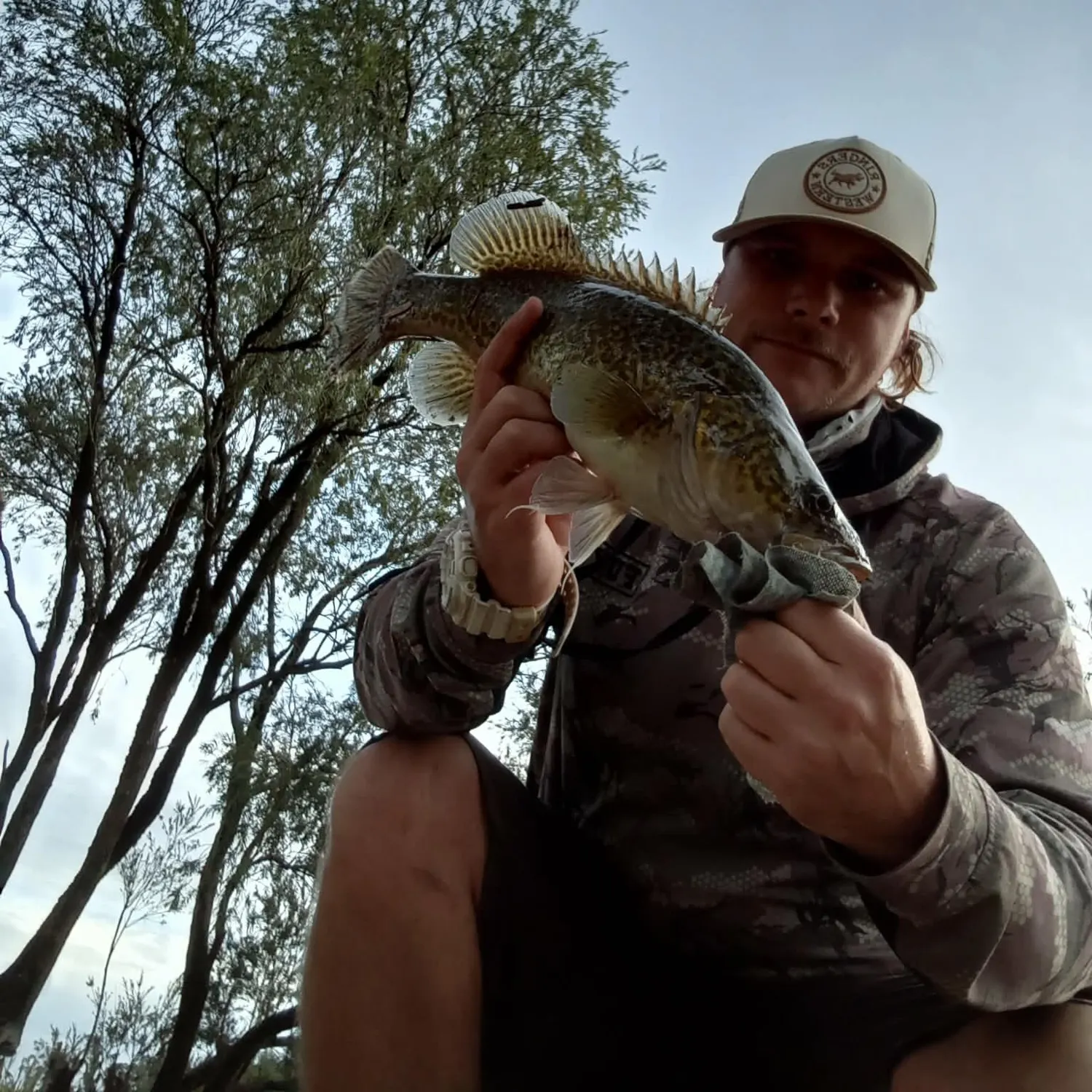 The most recent Clarence River cod catches on Fishbrain