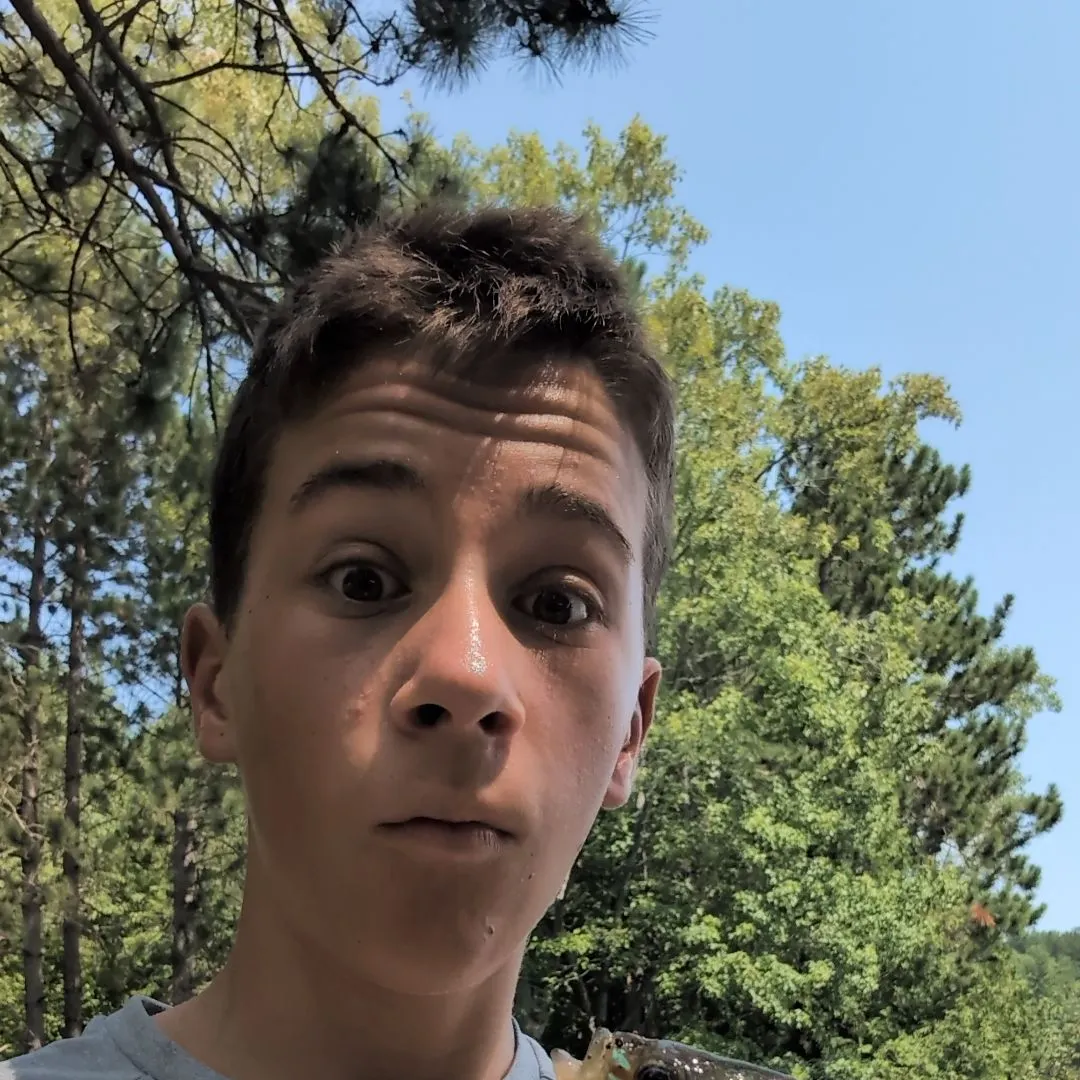 The most recent Pumpkinseed catches on Fishbrain