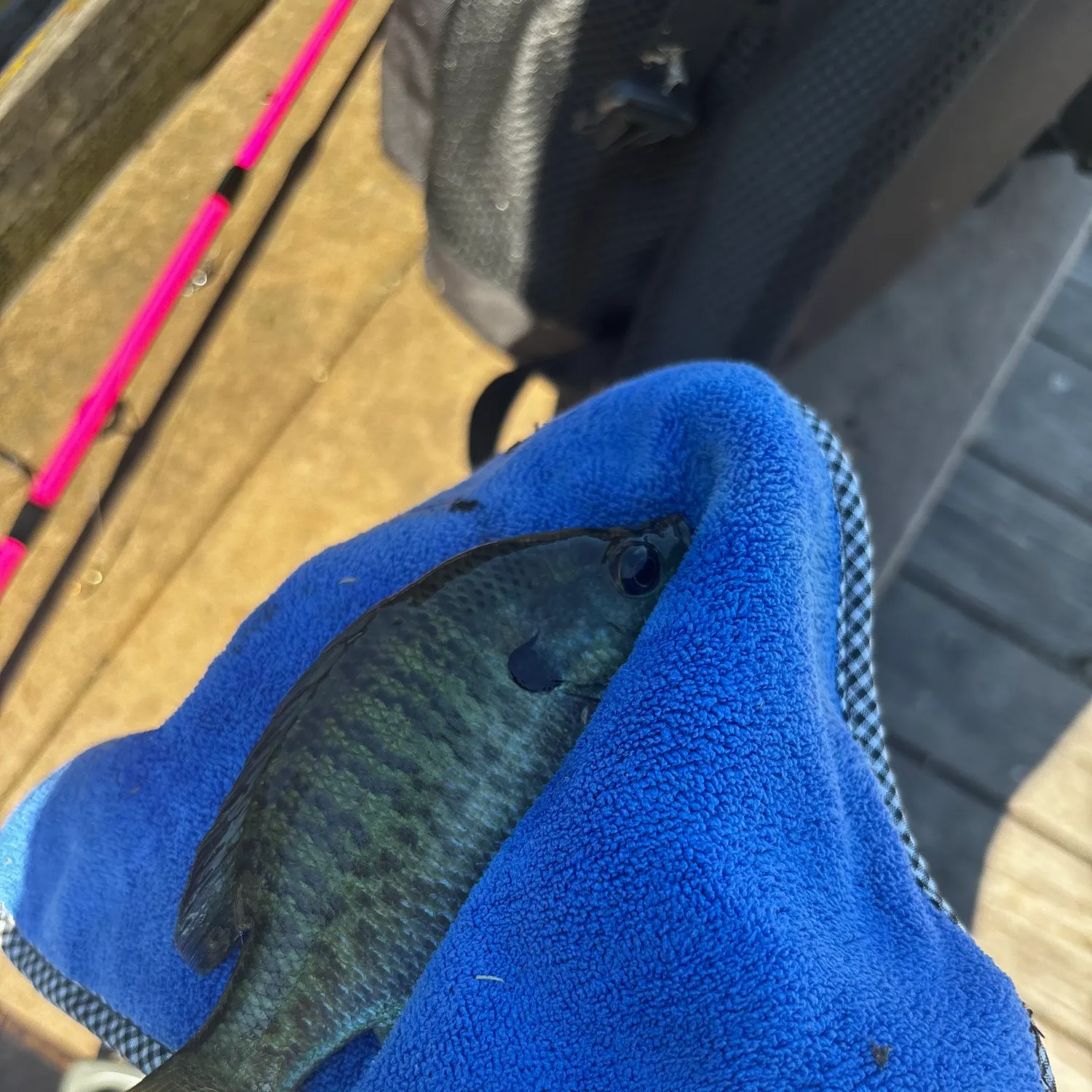 catch