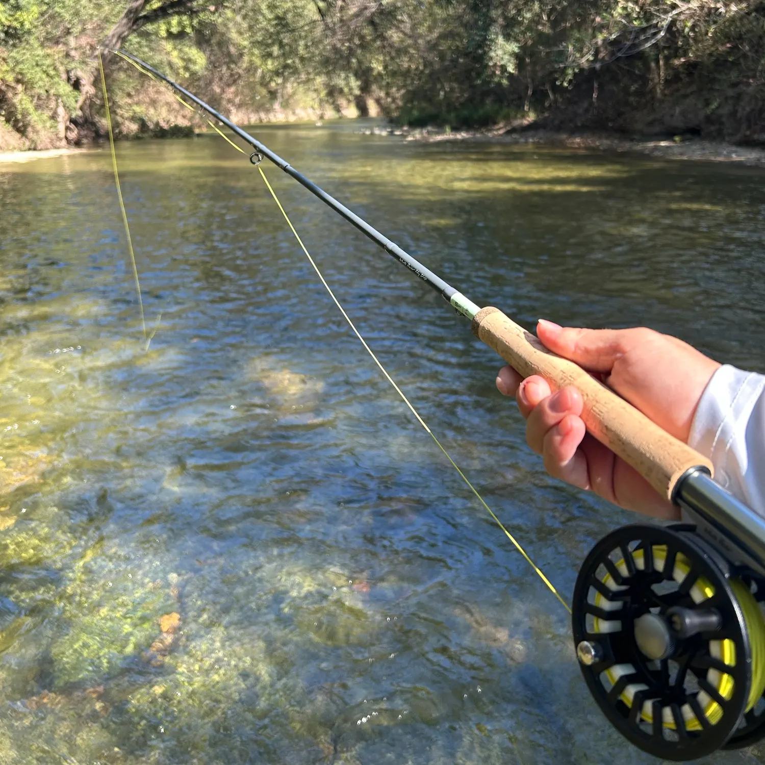 Redbreast sunfish caught on Fishbrain
