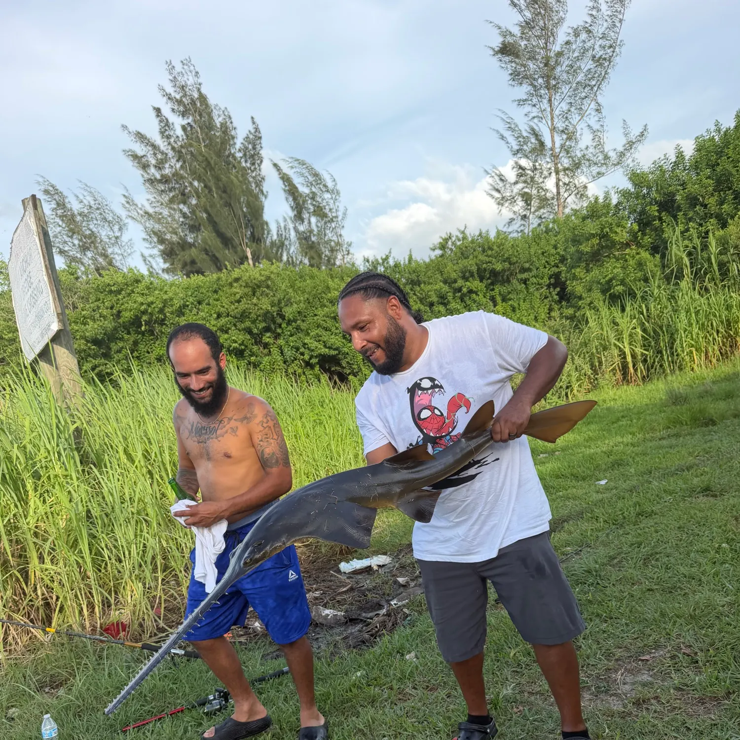 The most recent Largetooth sawfish catches on Fishbrain