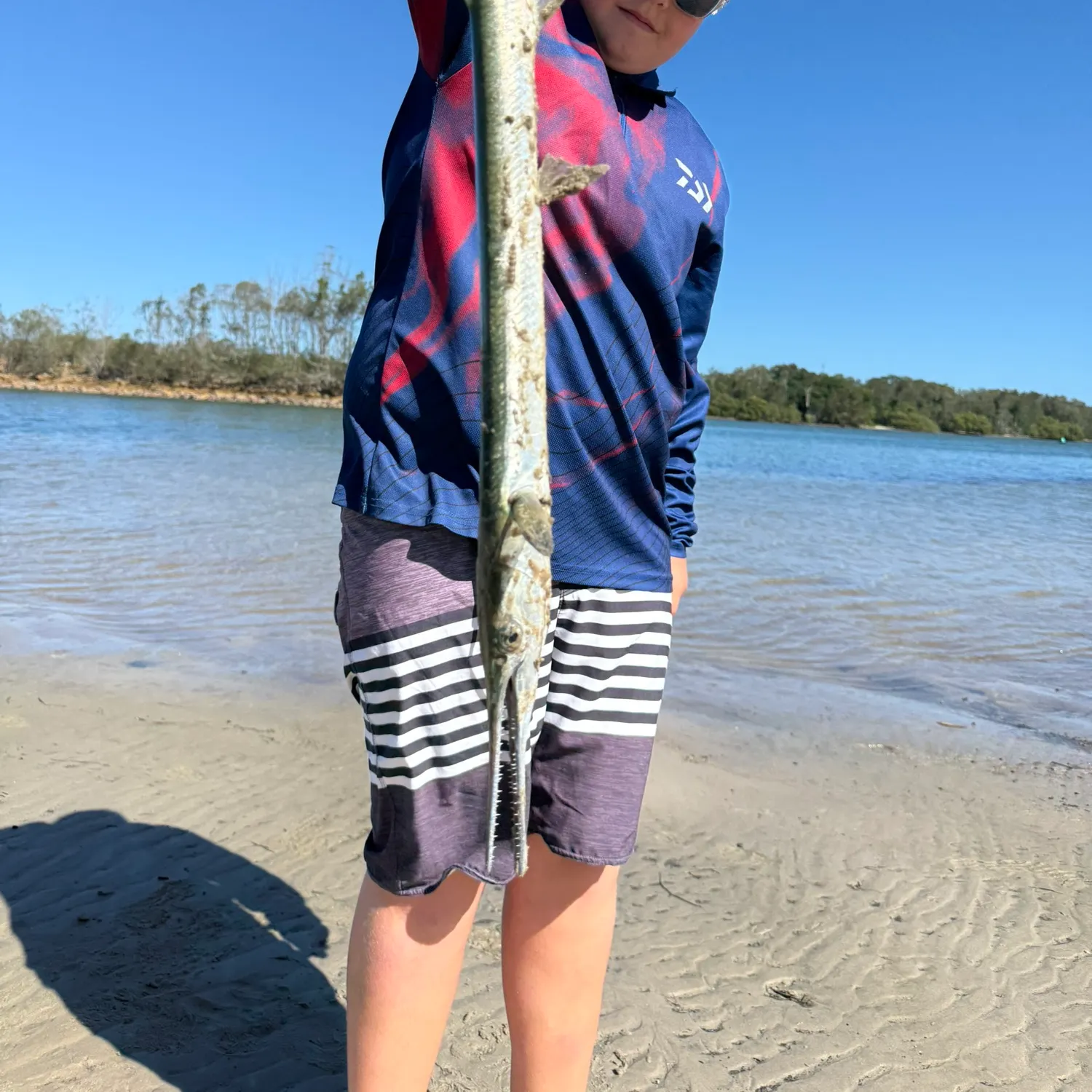 The most recent European garfish catches on Fishbrain