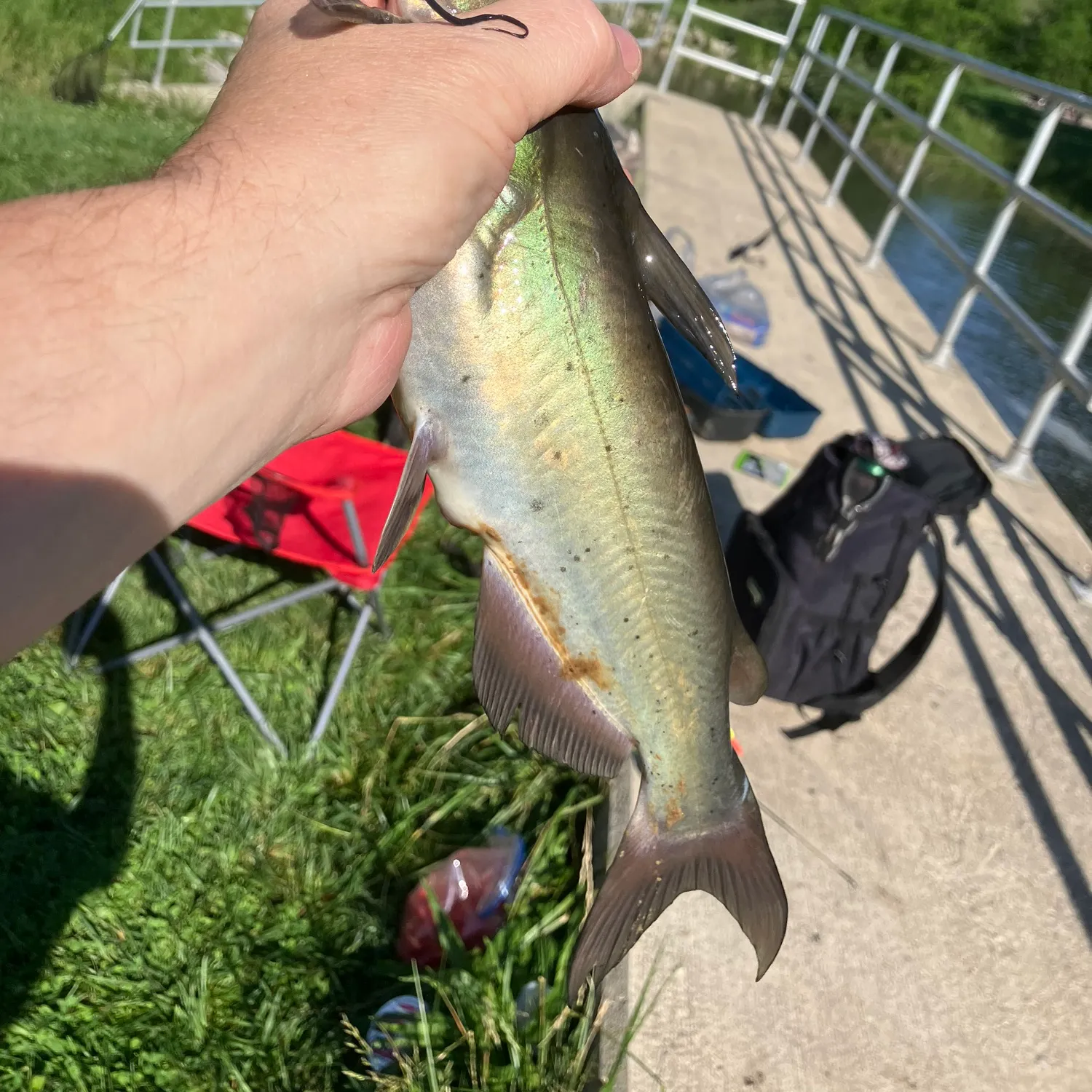 catch