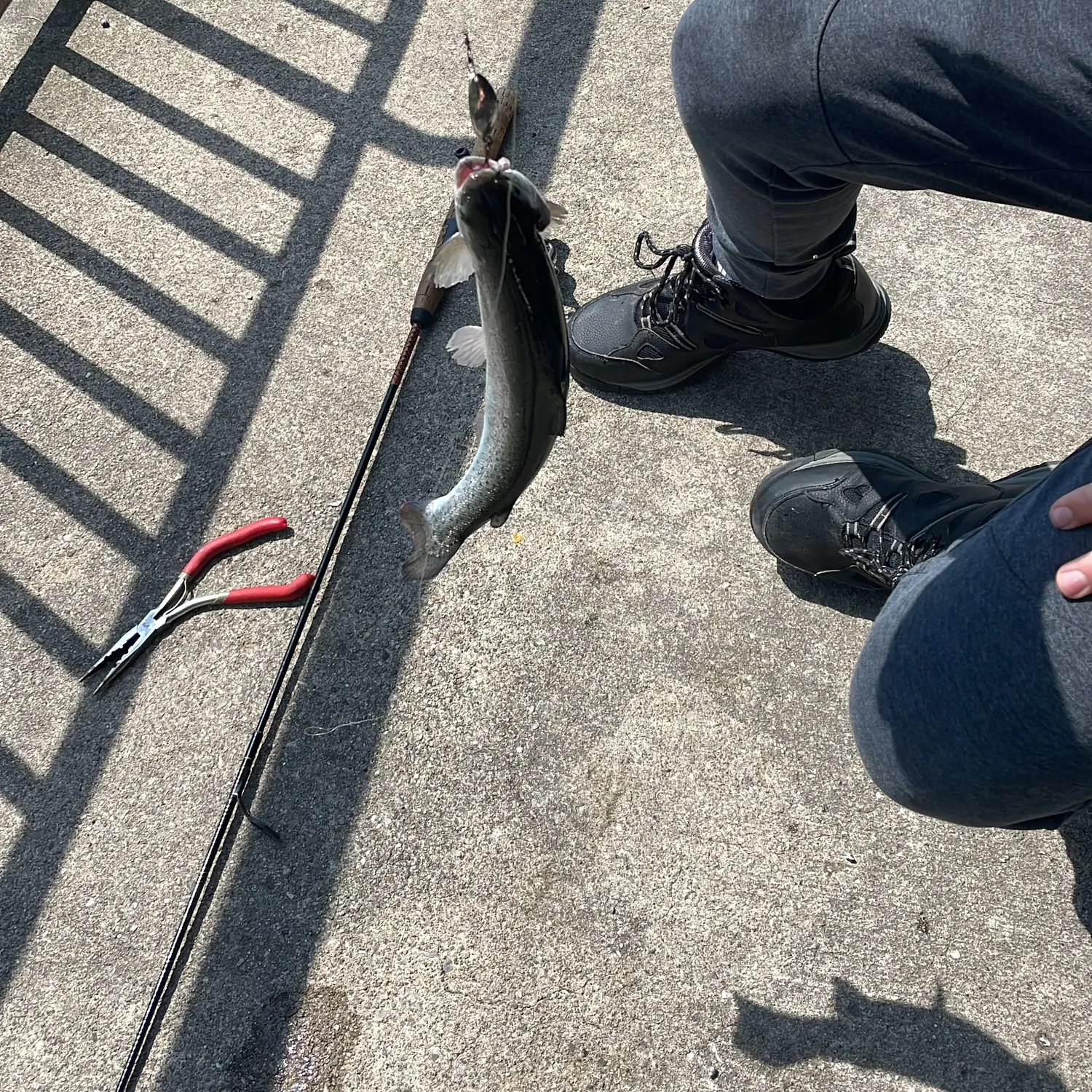 catch