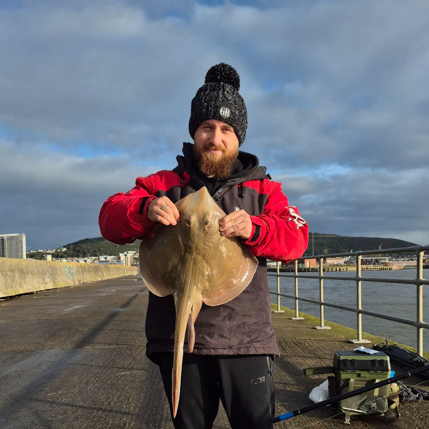 The most recent Small-eyed ray catches on Fishbrain