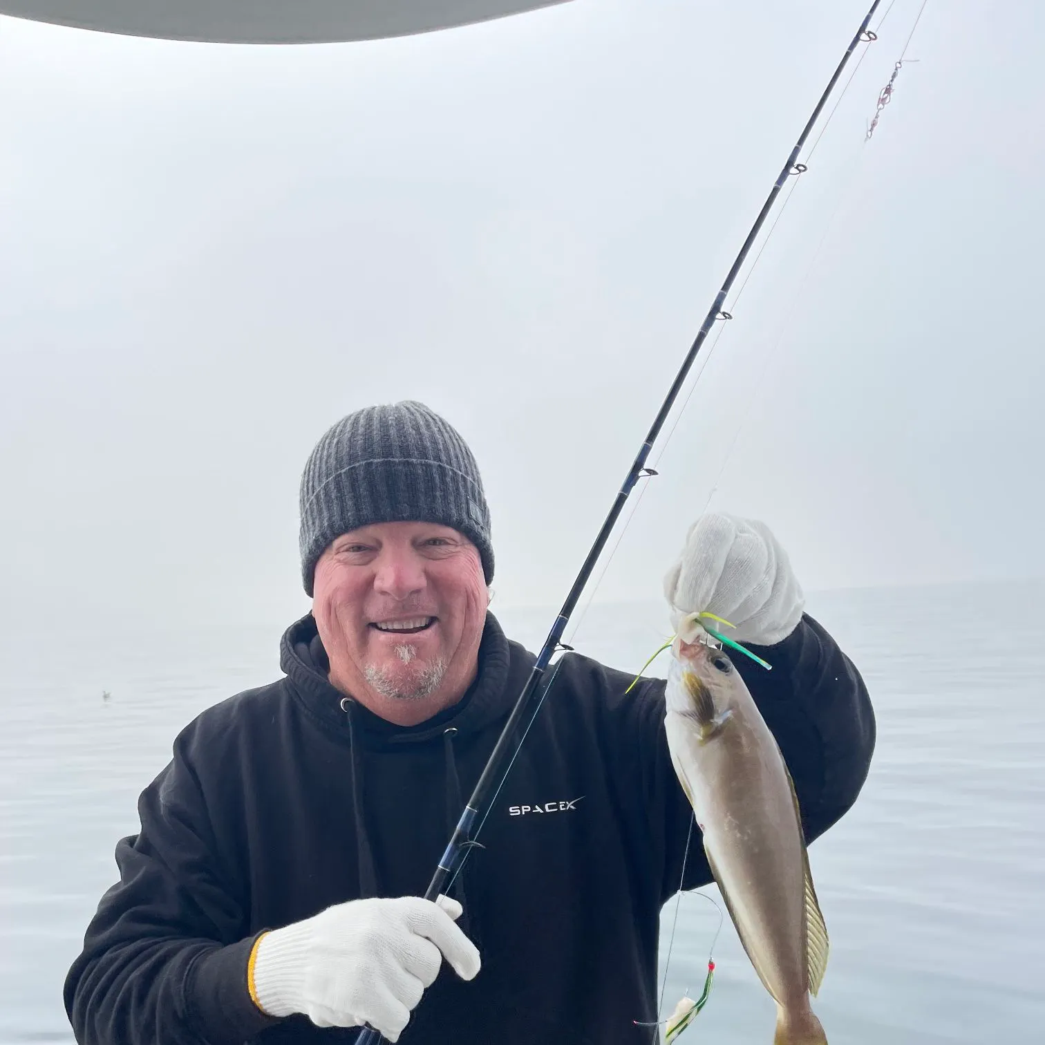 The most recent Ocean whitefish catches on Fishbrain
