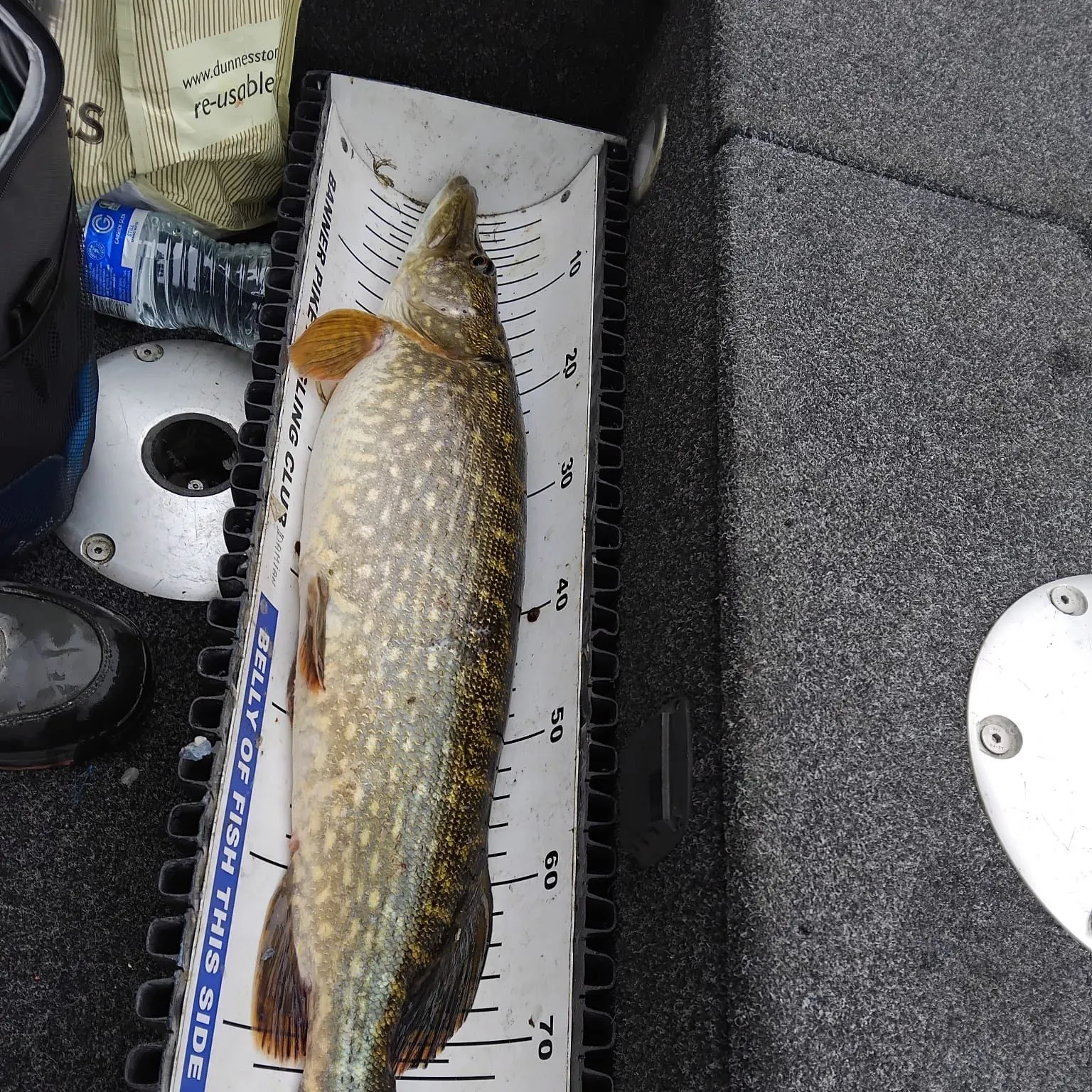 The most recent Northern pike catches on Fishbrain