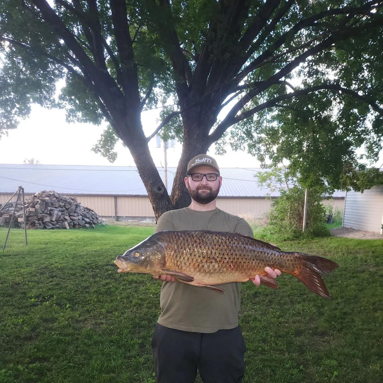 Common carp caught on Fishbrain