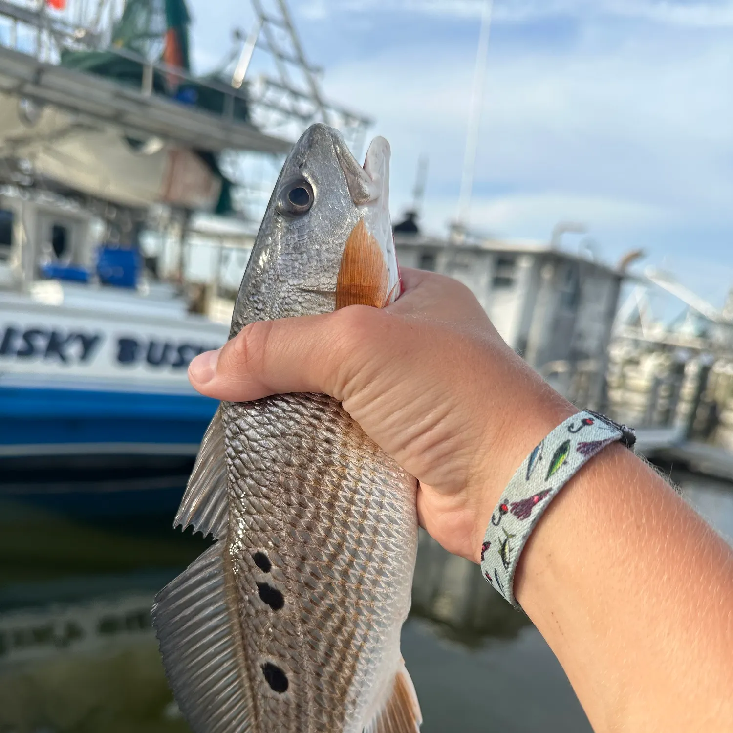 Red drum caught on Fishbrain