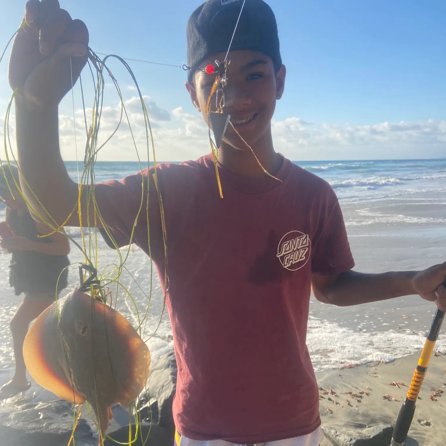 Haller's round ray caught on Fishbrain