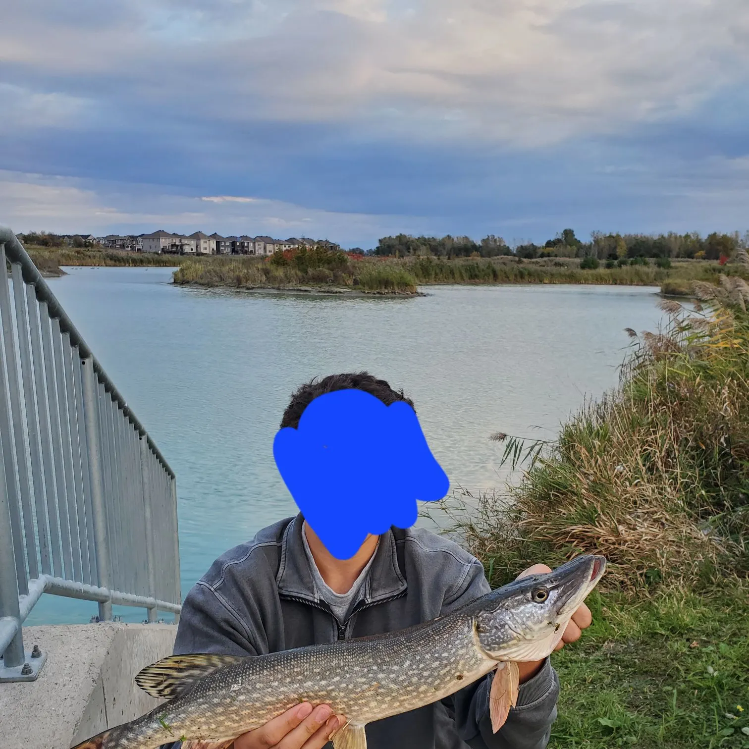 Northern pike caught on Fishbrain