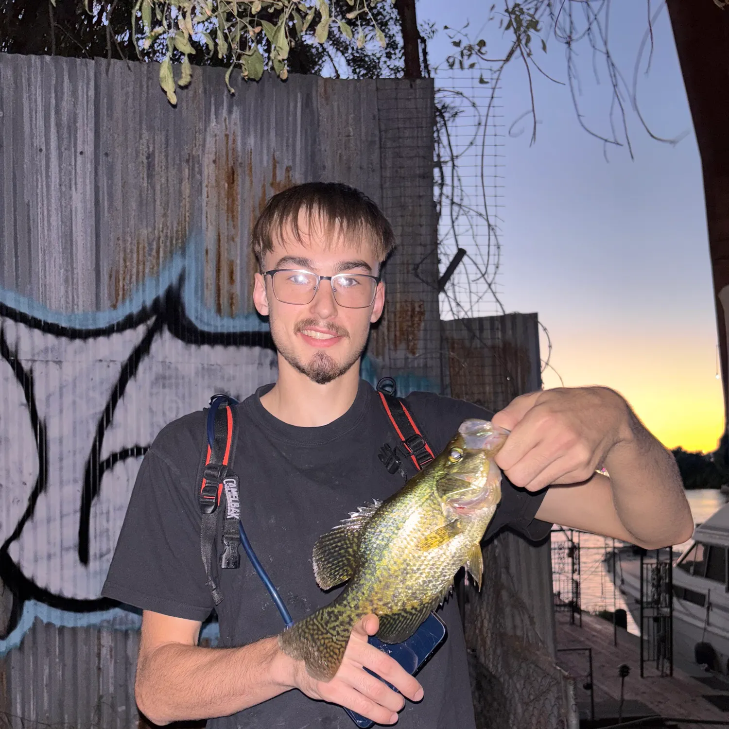 Black crappie caught on Fishbrain